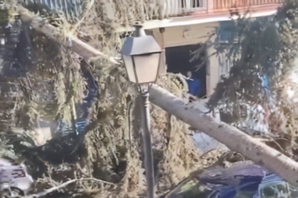 Cae un árbol de gran porte por la fuerza del aire en Leganés