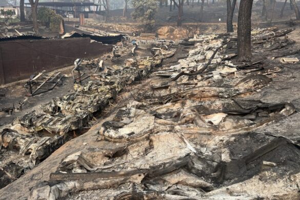 Embarcaciones quemadas incendio pantano San Juan 2026